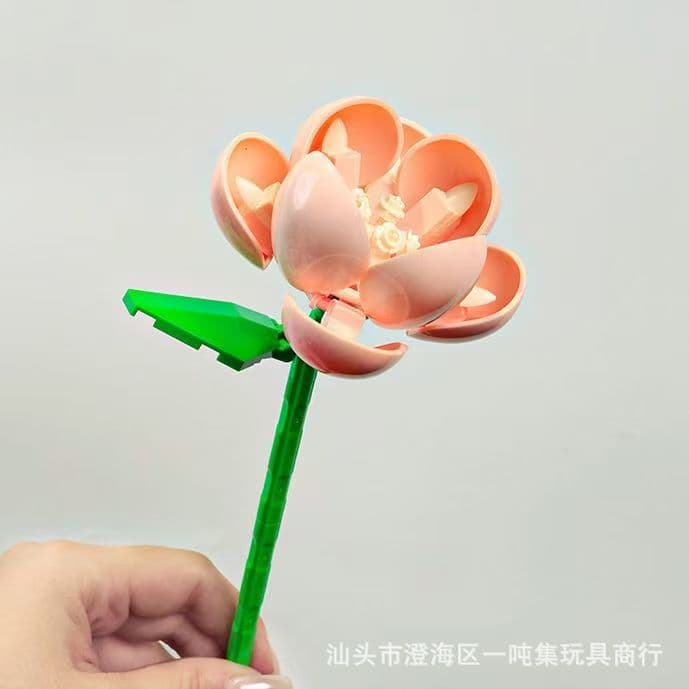 Hibiscus flower