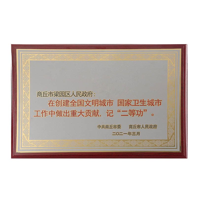 Wooden Award Plaques for Corporate Distribution, Agent Franchise, Solid Wood Display Plaques, Authorization Plaques, Business Recognition, and Commemorative Awards 5