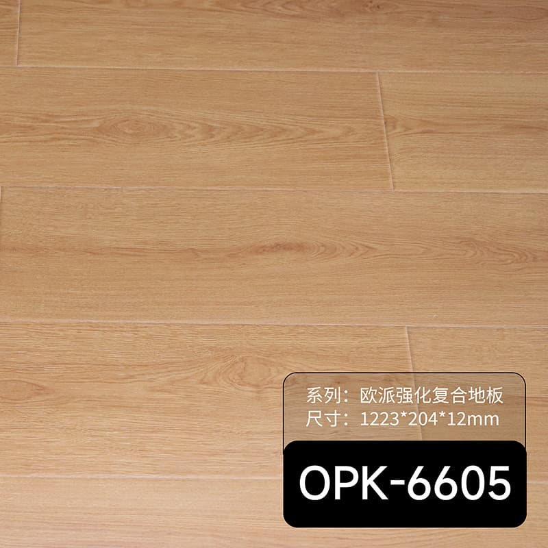 OPK-6605