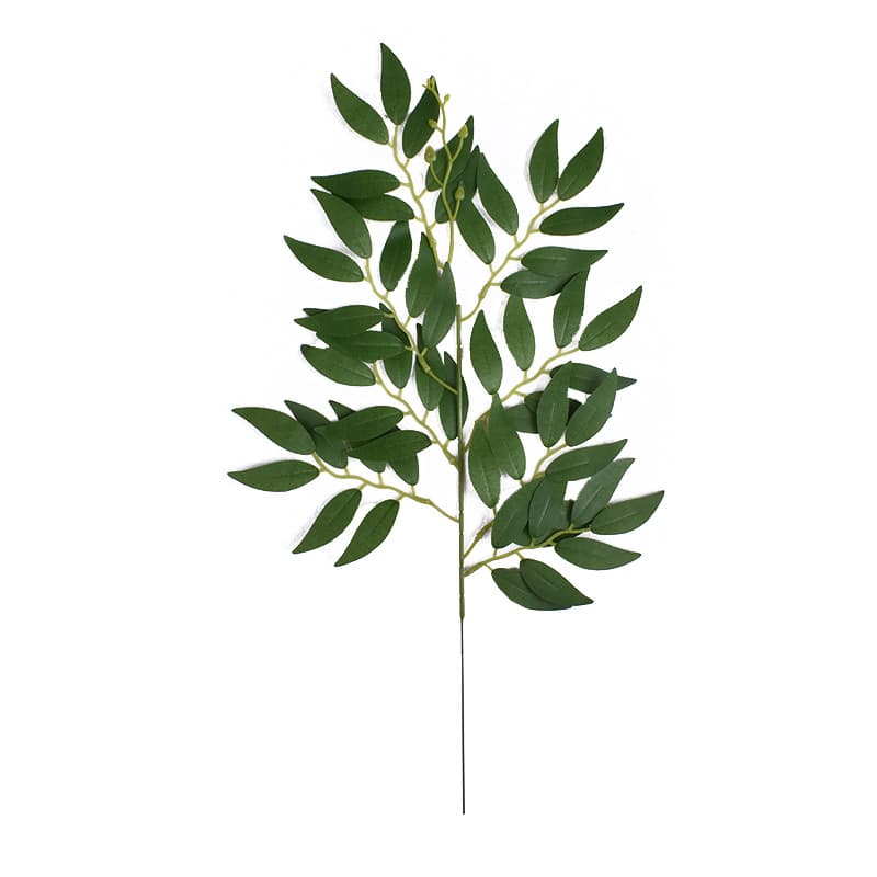 Willow leaf branch green one