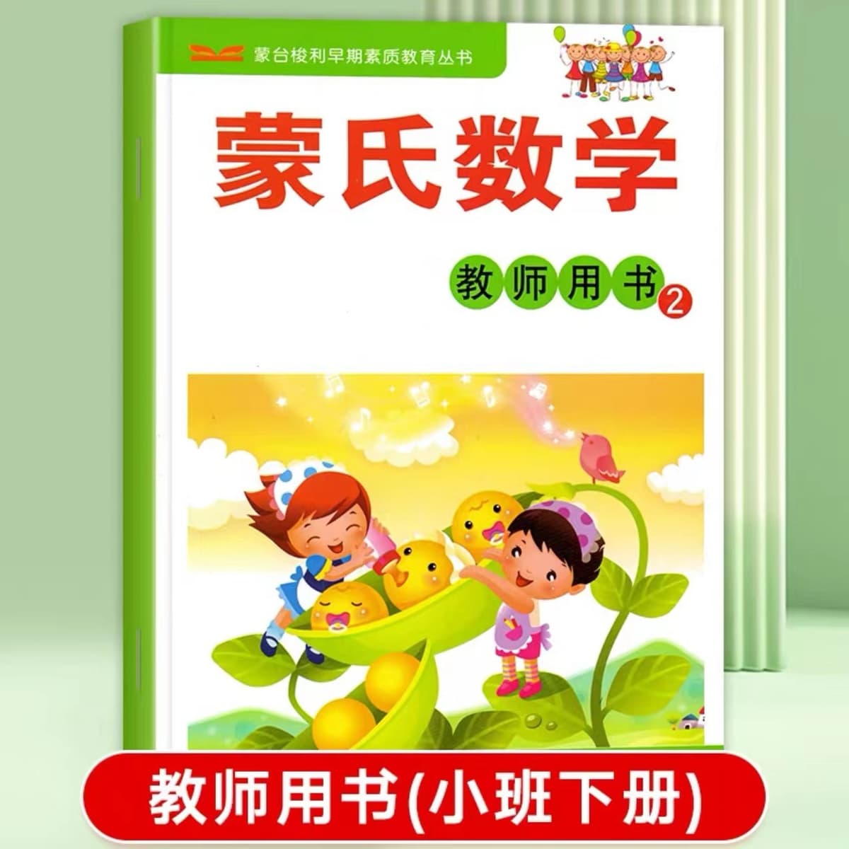 Teacher's book 2