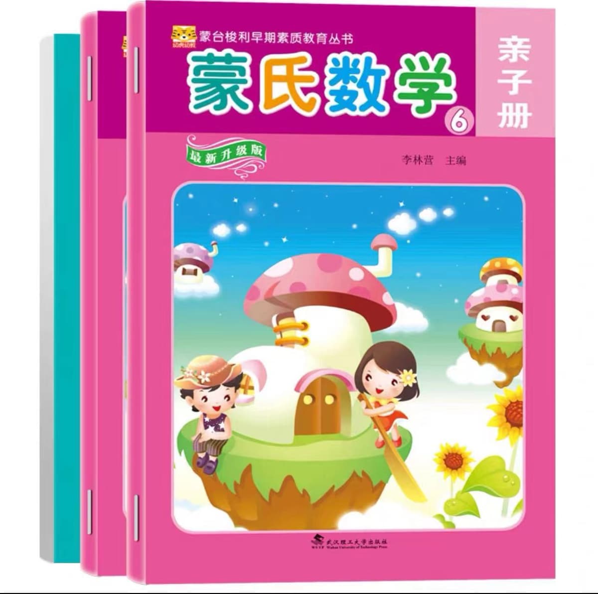 The upgraded version of Montessori Mathematics Large Class II ⑥