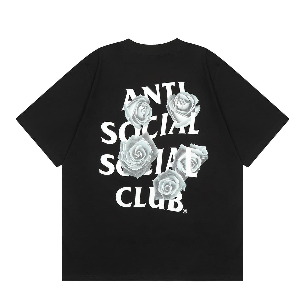 3116 black