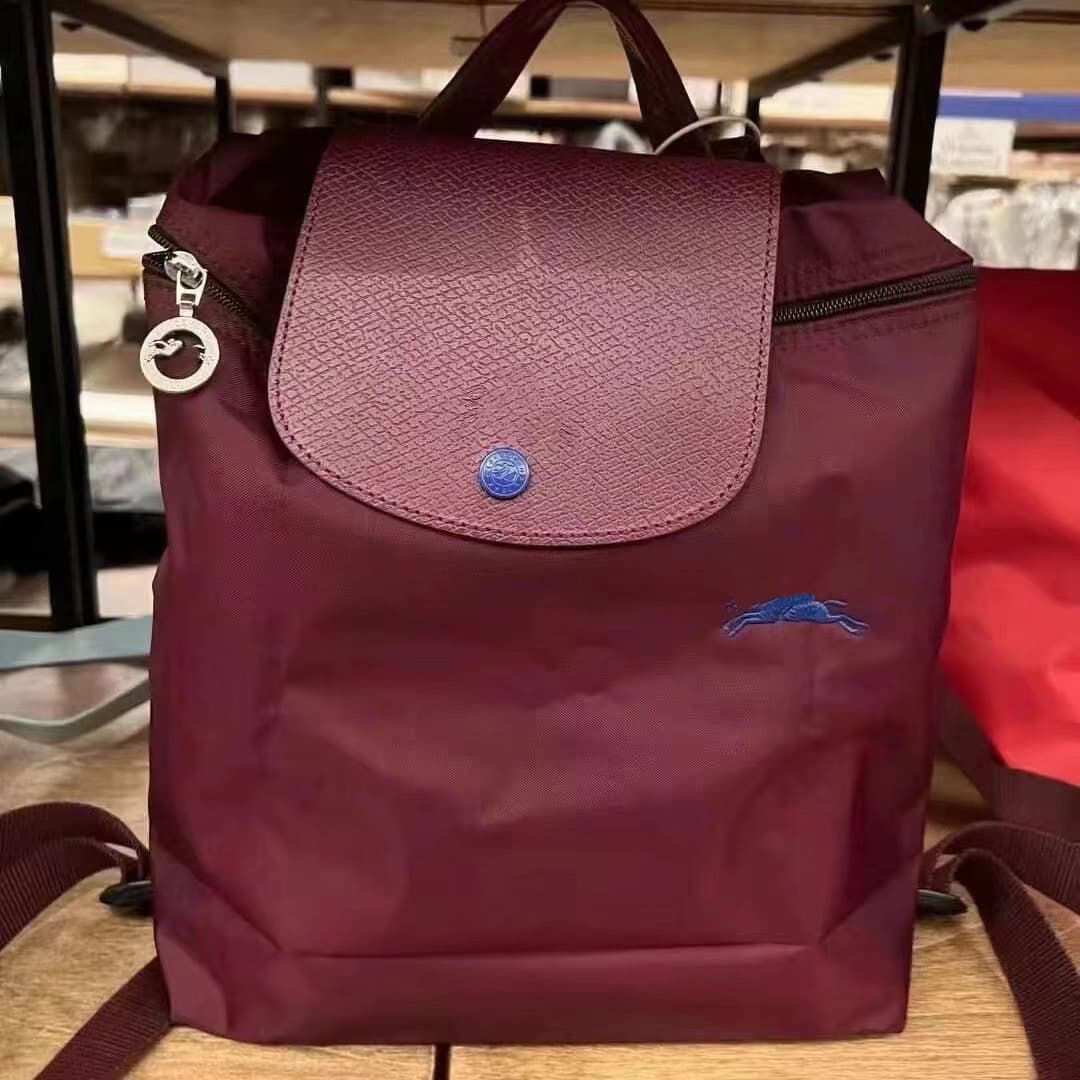 Anniversary burgundy backpack