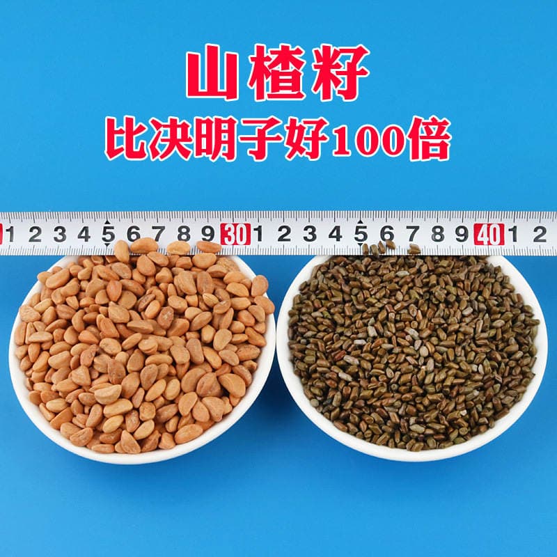 100 Jin Hawthorn Seed Toy Sand Granules Replace Cassia Seed Washable Children's Sand Dig Sand Playground Sand 2