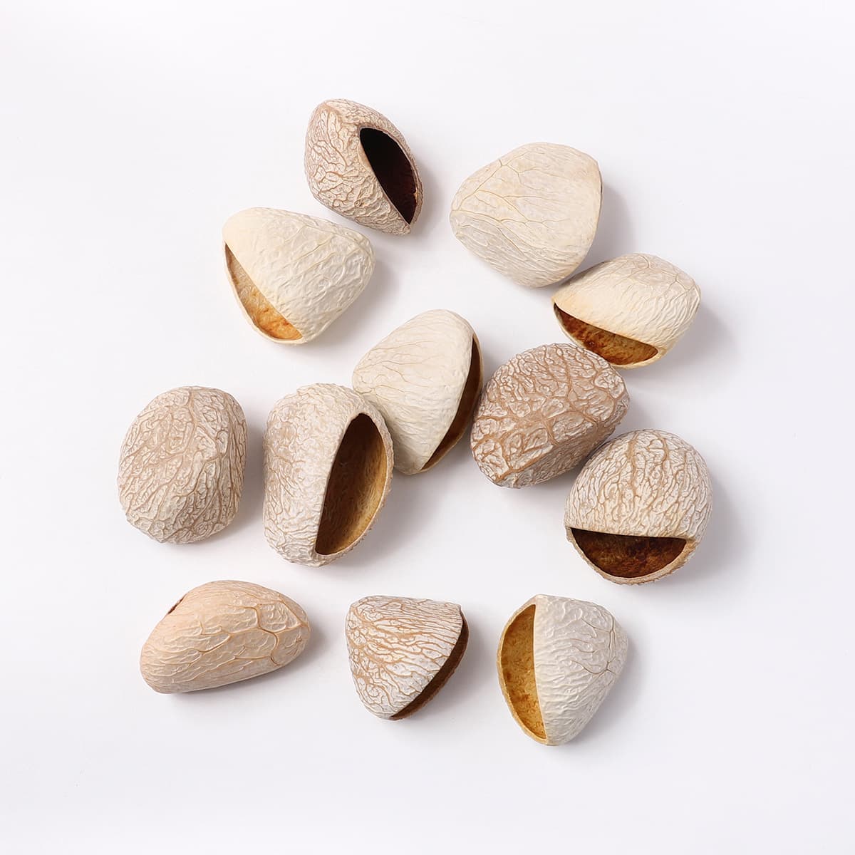 Indonesian black fruit [white] has been ground [recommended for doll models] without holes/single