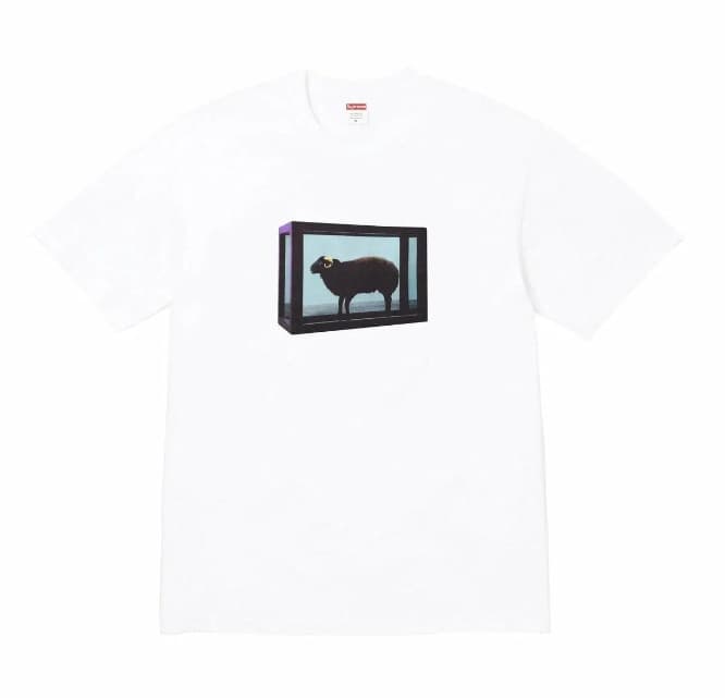 07 white