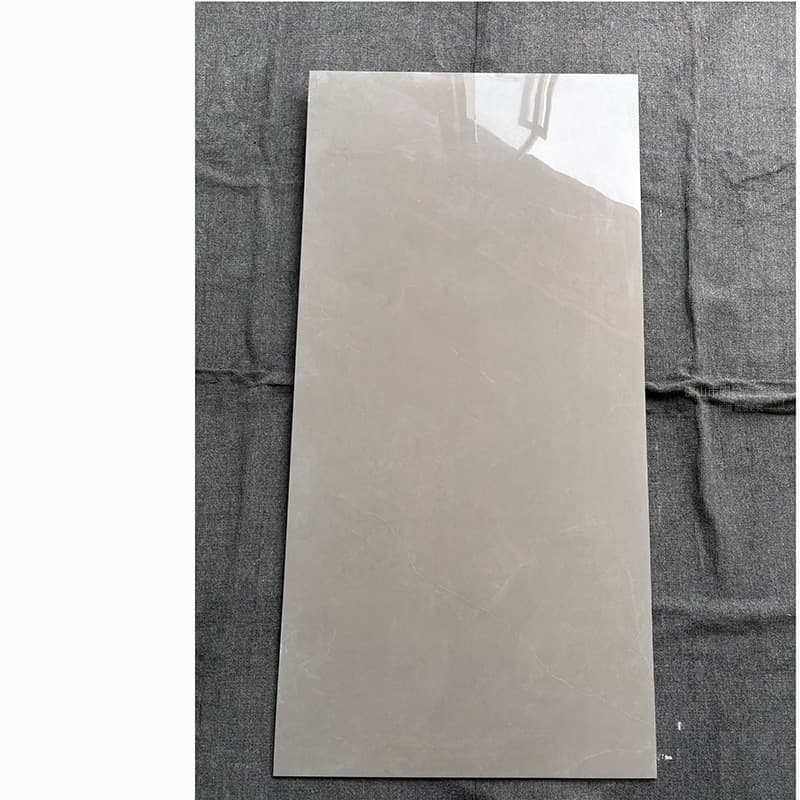 Style 9 all-ceramic appendix g