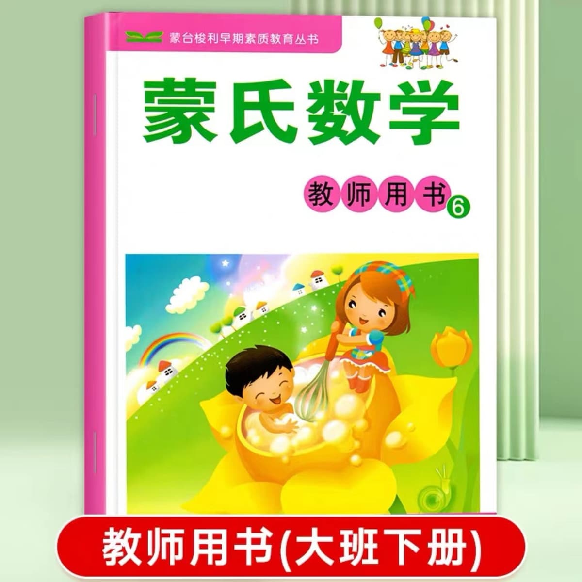Teacher's book 6