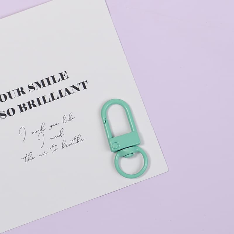 Mint green door buckle