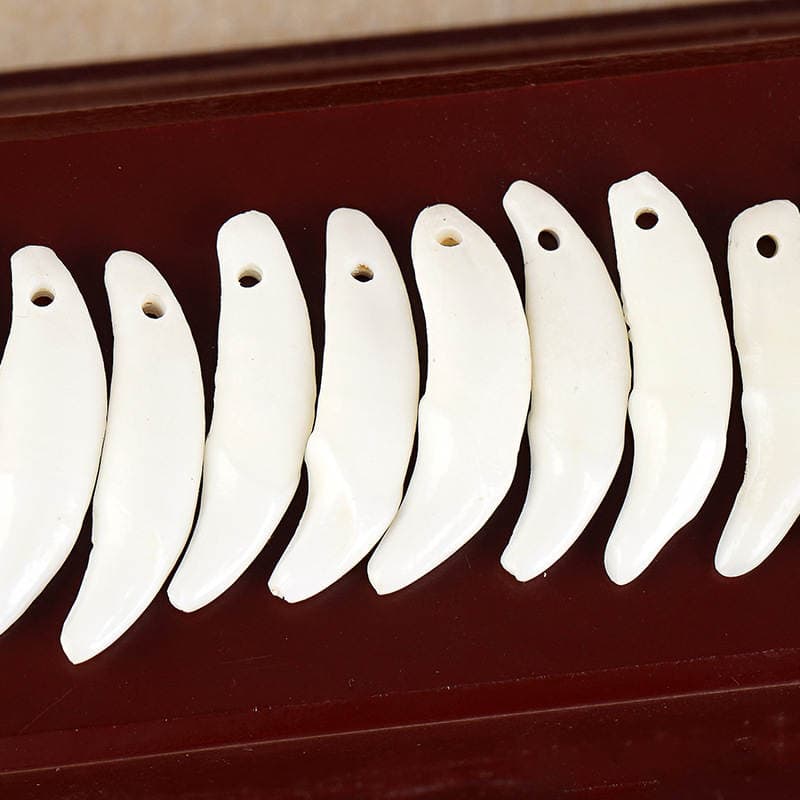 Donuz sümüyü və it dişi cazibələri, DIY aksesuarları üçün 2