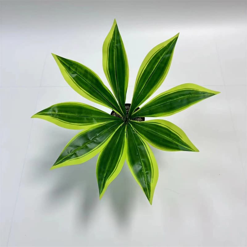 9 leaves of brazilian wood (depth)