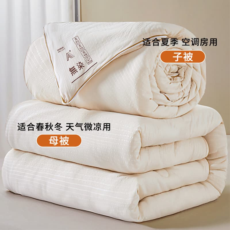 Non-dyed-creamy-white-upgraded Super soft soybean quilt