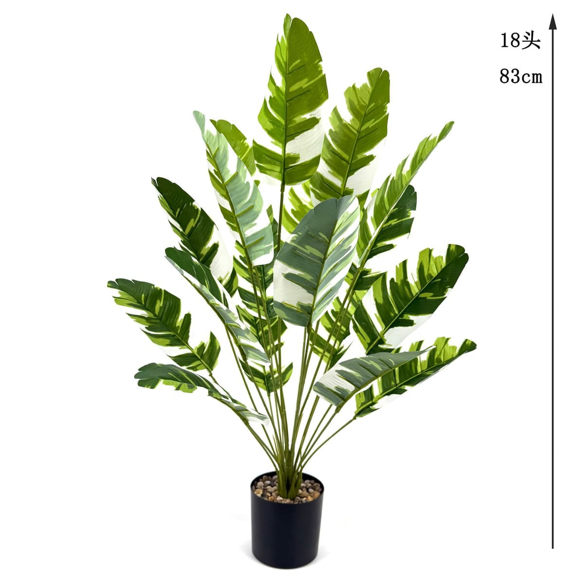 18 white brocade banana leaves 83cm (excluding pot)