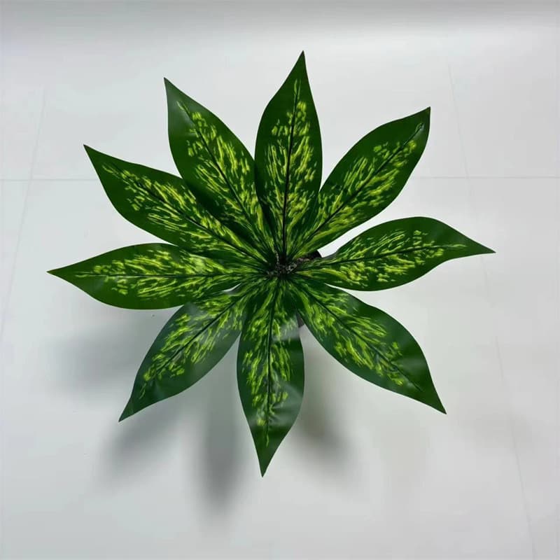 9-leaf sword orchid leaves (depth)