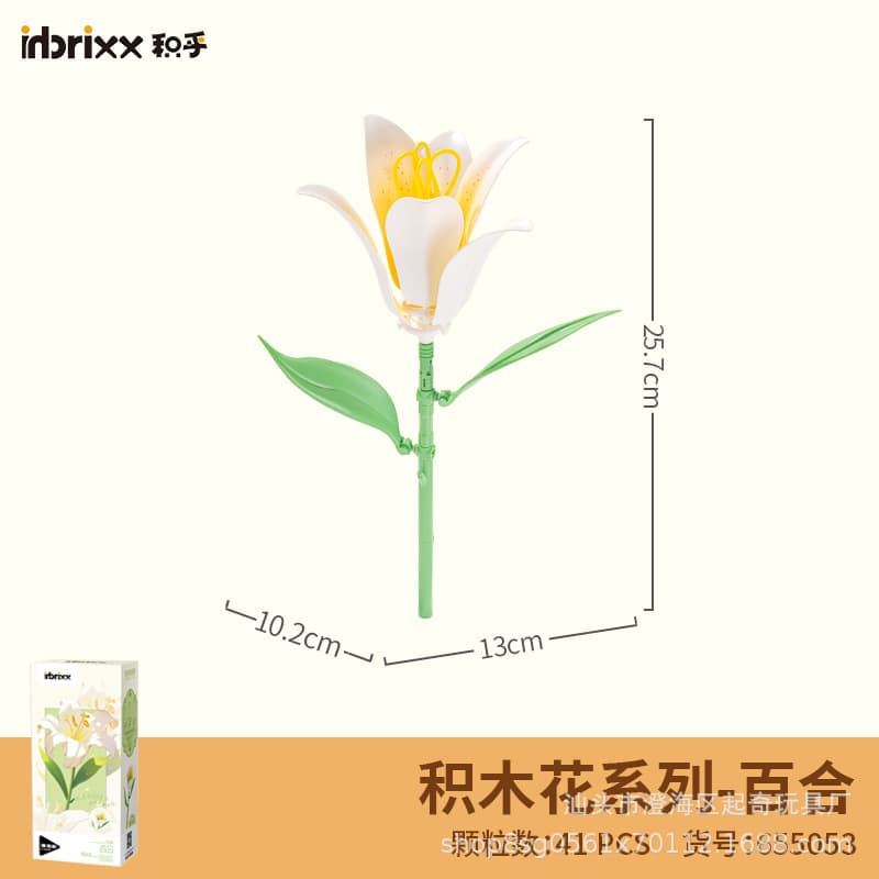 655053 lily
