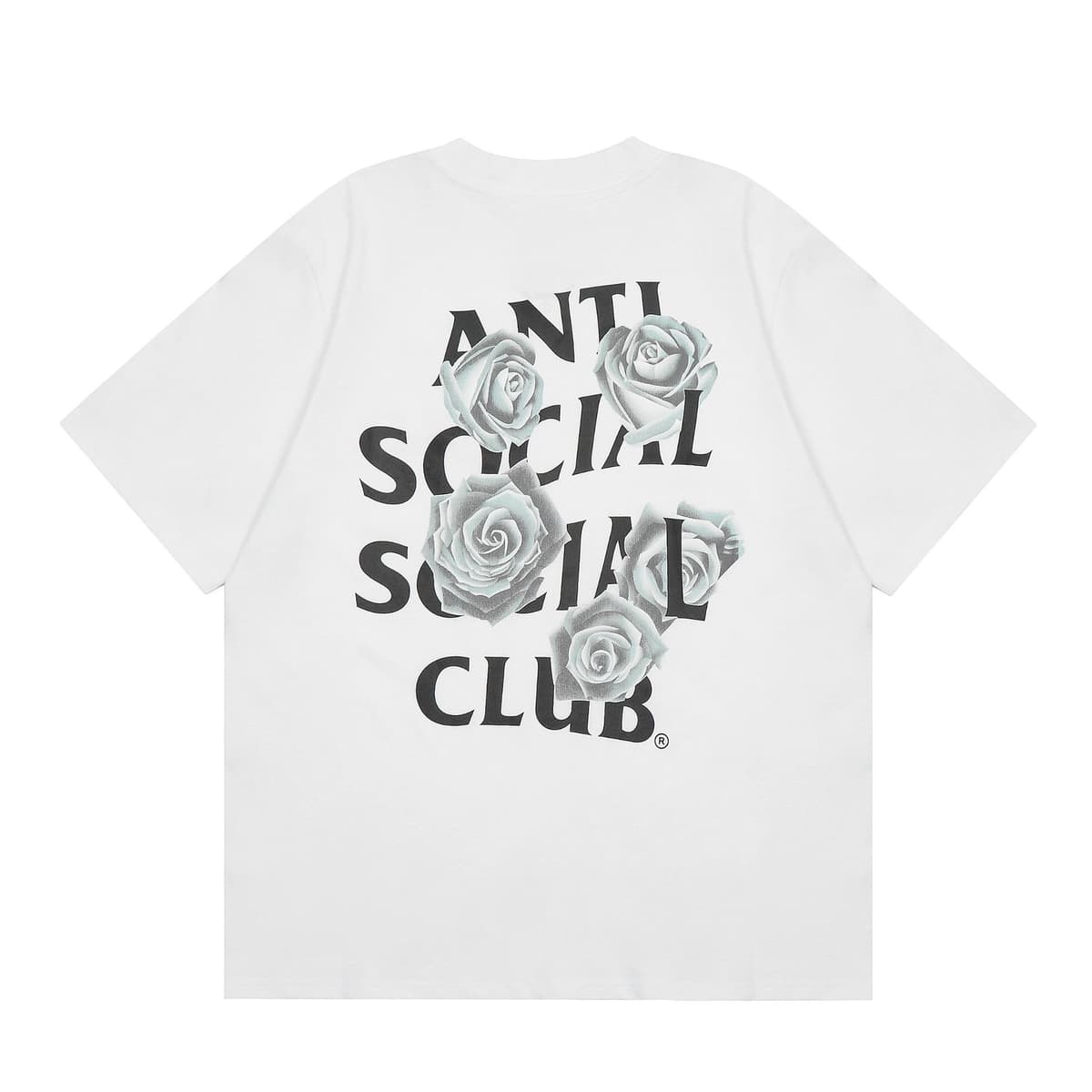 3116 White