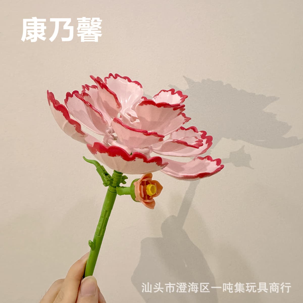 Large carnation