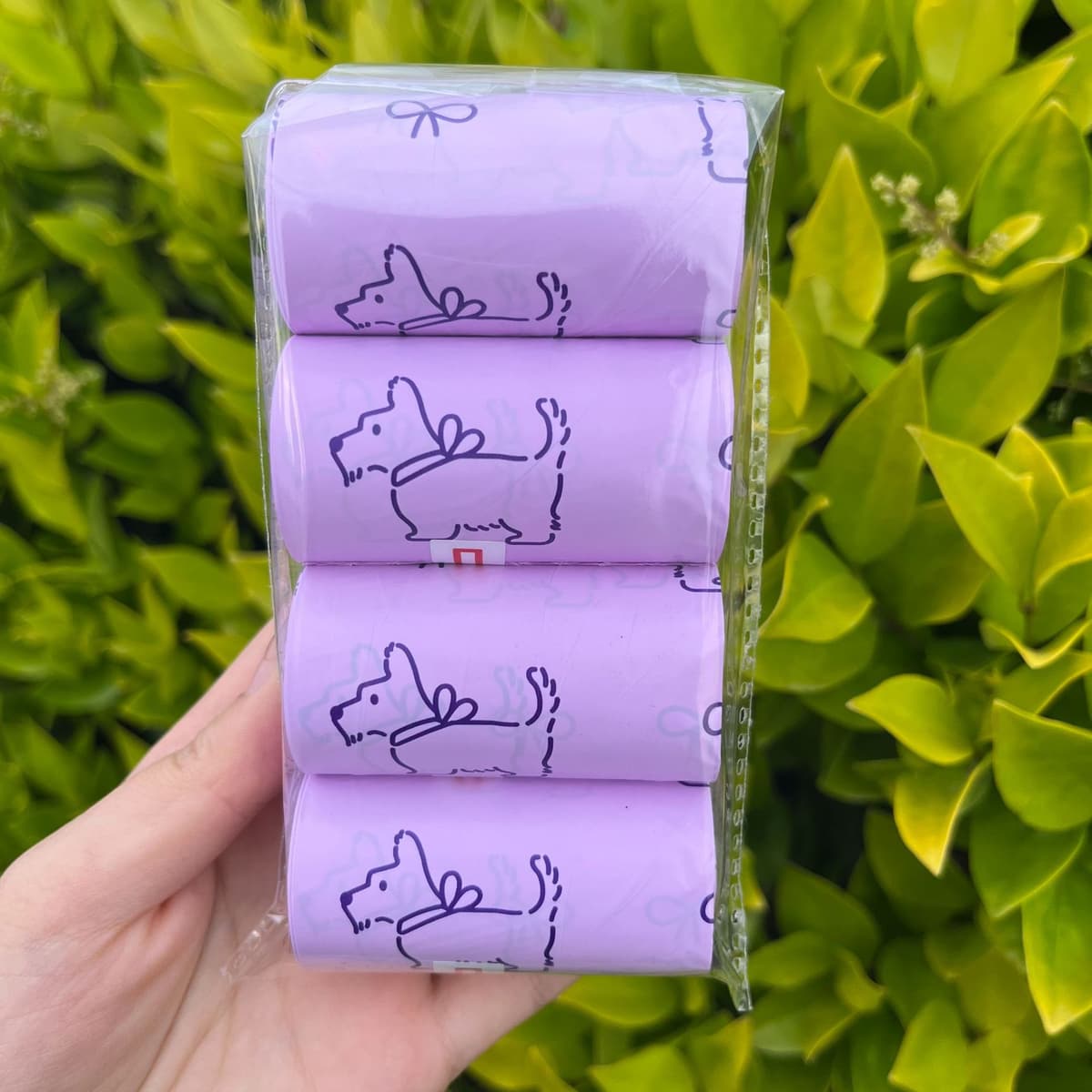 Blue and white fragrance 1.5 silk (4 rolls, 60 bags)