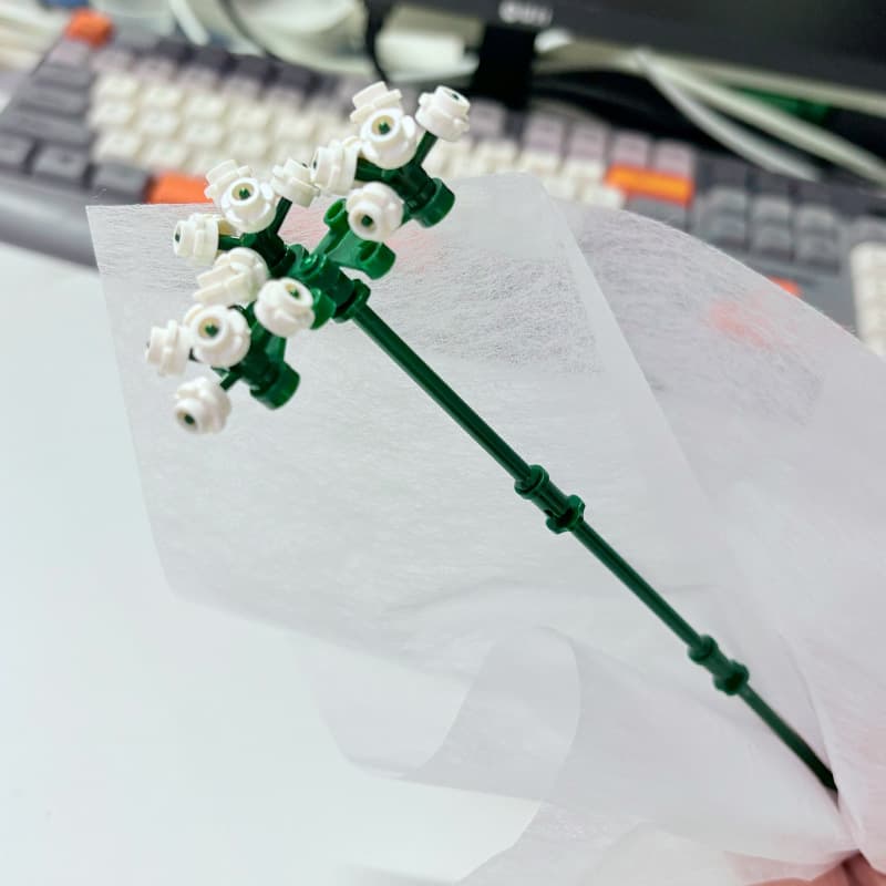 Pl small baby's breath (bag)