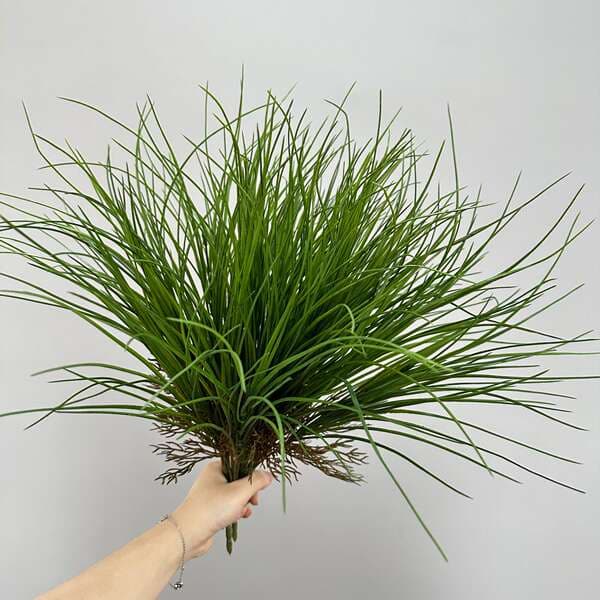 Artificial Green Plants, Orchids, Wild Grasses, Micro-Landscape Plants, Wall and Floor Decoration Plants, Soft Decoration Green Plants