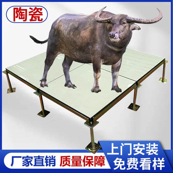 Guangdong Manufacturer Supplies All-Steel Anti-Static Flooring Machine Room Frame Empty Movable Steel Floor Monitoring Room Anti-Static Flooring