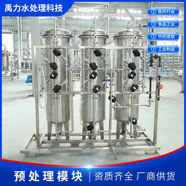 Medicine Fully Automatic Ultrapure Water Equipment Reverse Osmosis Pure Water Machine Food Industry Stainless Steel Pre-Treatment Module Factory