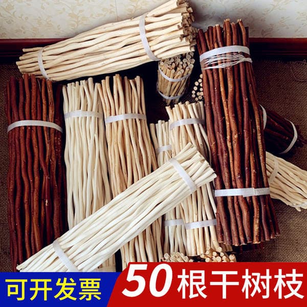 Wooden stick branch trunk handmade diy kindergarten environmental creative material pine cone natural landscape White log style decoration