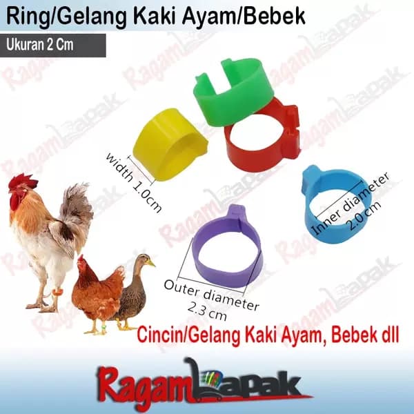 Toyuq və Ördək Ayaq Üzükləri (Açıq Tipli, Yenidən İstifadə Oluna Bilən)