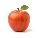 Təzə Qida